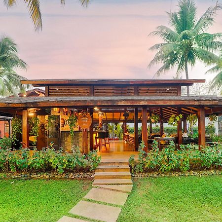 Tropicana Resort & Spa Alibaug アリバグ エクステリア 写真