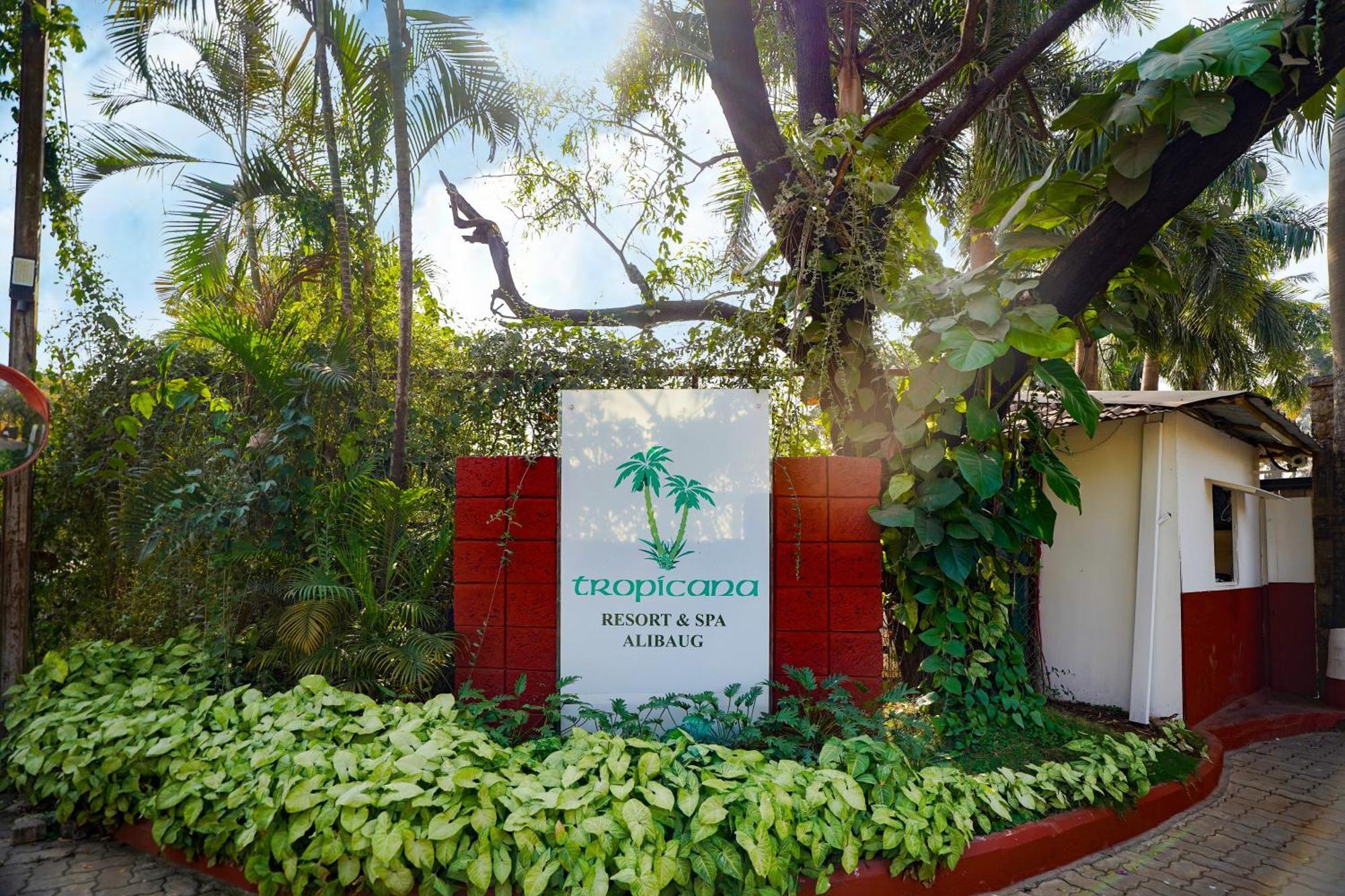 Tropicana Resort & Spa Alibaug アリバグ エクステリア 写真